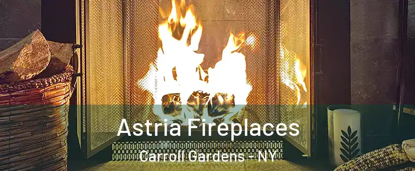 Astria Fireplaces Carroll Gardens - NY