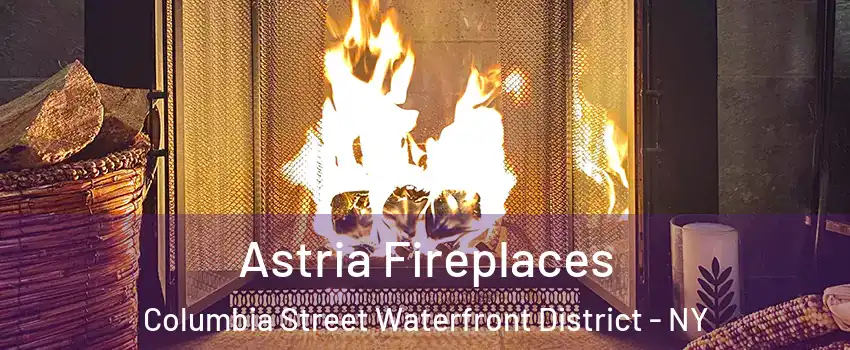 Astria Fireplaces Columbia Street Waterfront District - NY