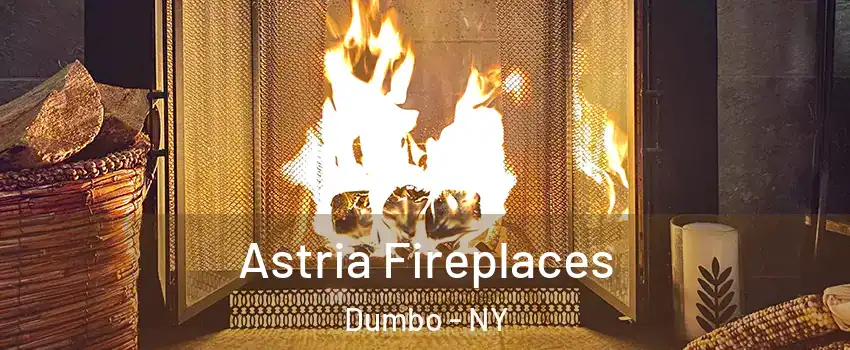 Astria Fireplaces Dumbo - NY