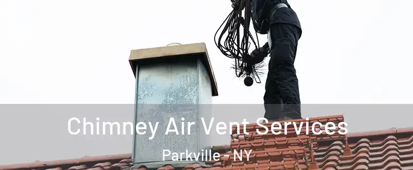 Chimney Air Vent Services Parkville - NY