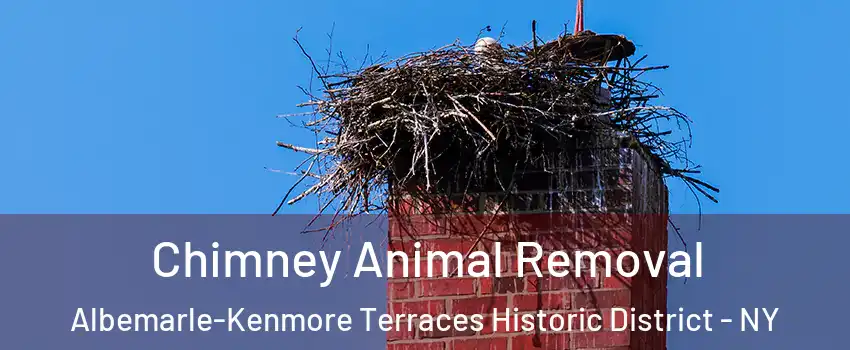 Chimney Animal Removal Albemarle-Kenmore Terraces Historic District - NY