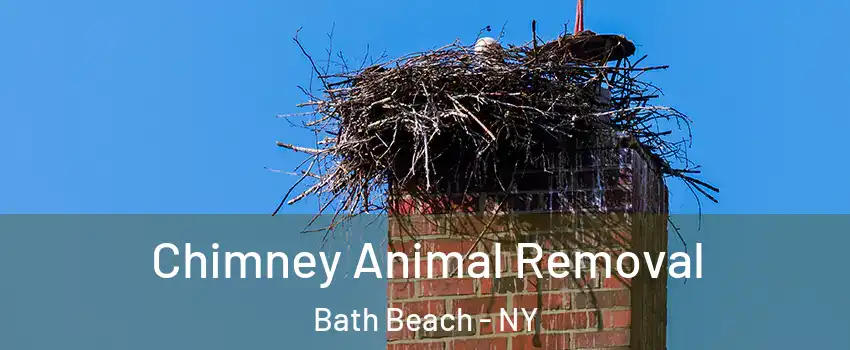 Chimney Animal Removal Bath Beach - NY