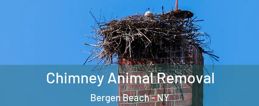 Chimney Animal Removal Bergen Beach - NY