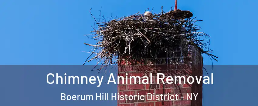 Chimney Animal Removal Boerum Hill Historic District - NY