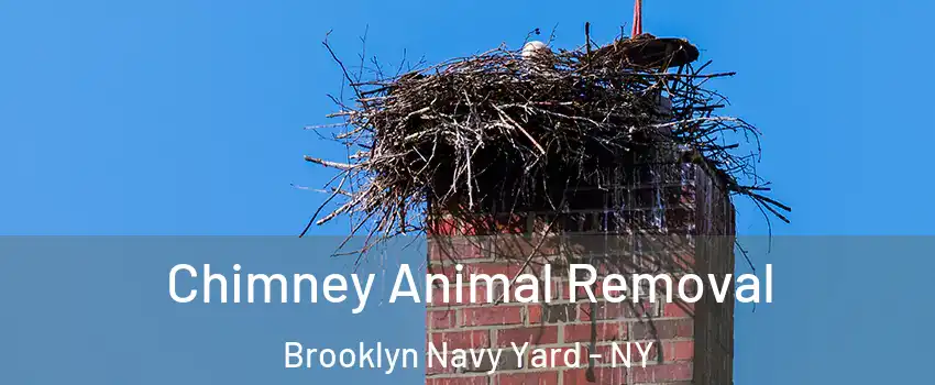 Chimney Animal Removal Brooklyn Navy Yard - NY