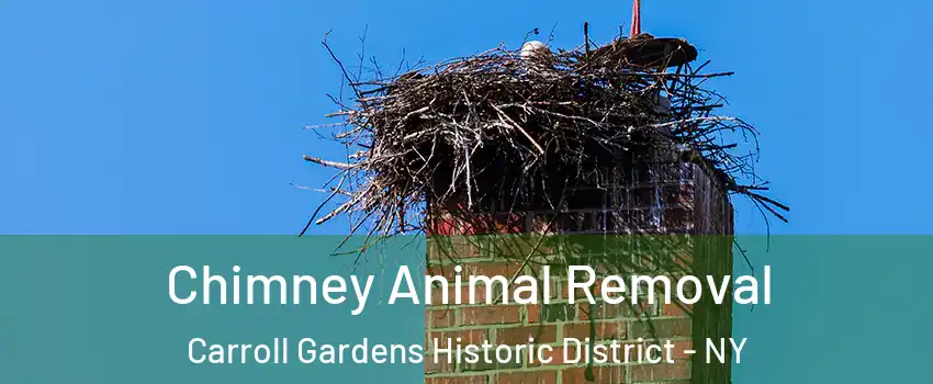 Chimney Animal Removal Carroll Gardens Historic District - NY