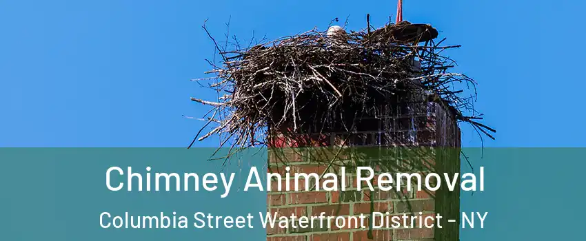 Chimney Animal Removal Columbia Street Waterfront District - NY