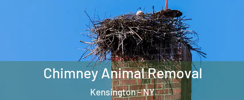 Chimney Animal Removal Kensington - NY