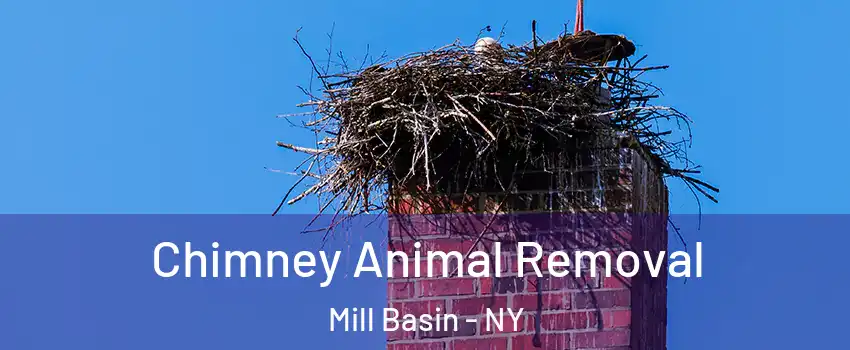 Chimney Animal Removal Mill Basin - NY