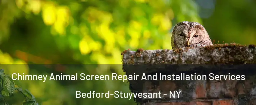 Chimney Animal Screen Repair And Installation Services Bedford-Stuyvesant - NY