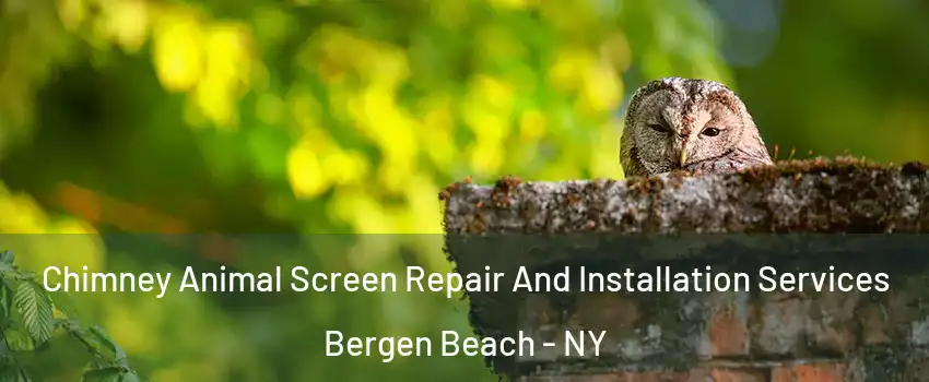 Chimney Animal Screen Repair And Installation Services Bergen Beach - NY