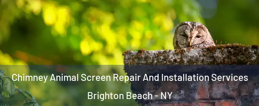 Chimney Animal Screen Repair And Installation Services Brighton Beach - NY