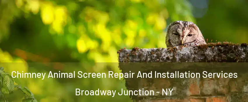 Chimney Animal Screen Repair And Installation Services Broadway Junction - NY