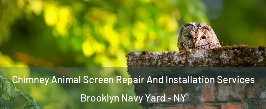 Chimney Animal Screen Repair And Installation Services Brooklyn Navy Yard - NY