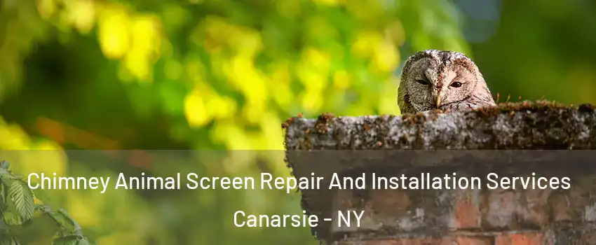 Chimney Animal Screen Repair And Installation Services Canarsie - NY