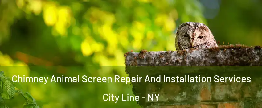 Chimney Animal Screen Repair And Installation Services City Line - NY