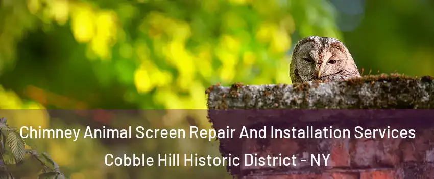 Chimney Animal Screen Repair And Installation Services Cobble Hill Historic District - NY