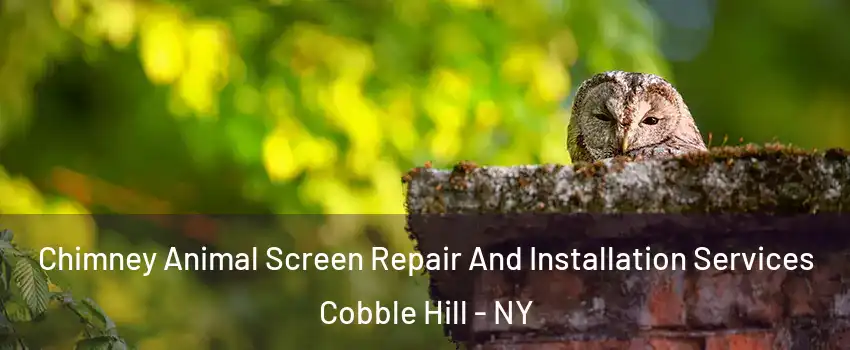 Chimney Animal Screen Repair And Installation Services Cobble Hill - NY