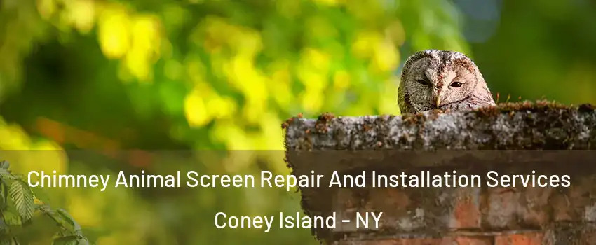 Chimney Animal Screen Repair And Installation Services Coney Island - NY