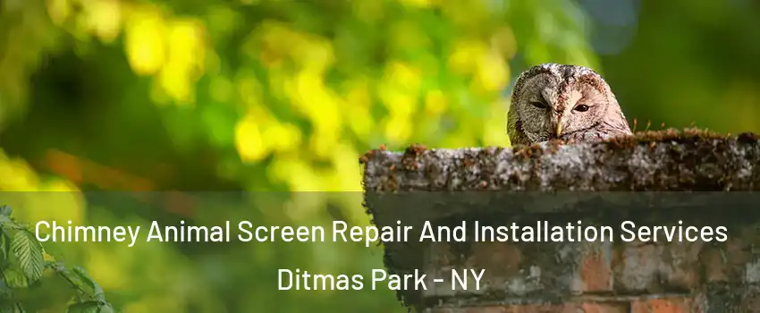 Chimney Animal Screen Repair And Installation Services Ditmas Park - NY