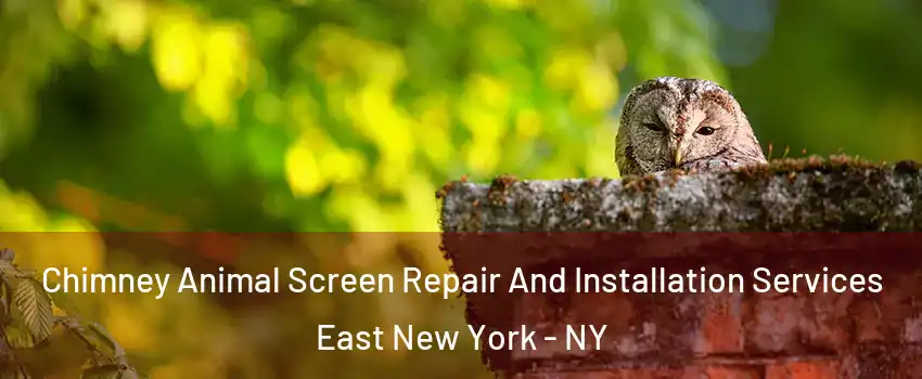 Chimney Animal Screen Repair And Installation Services East New York - NY