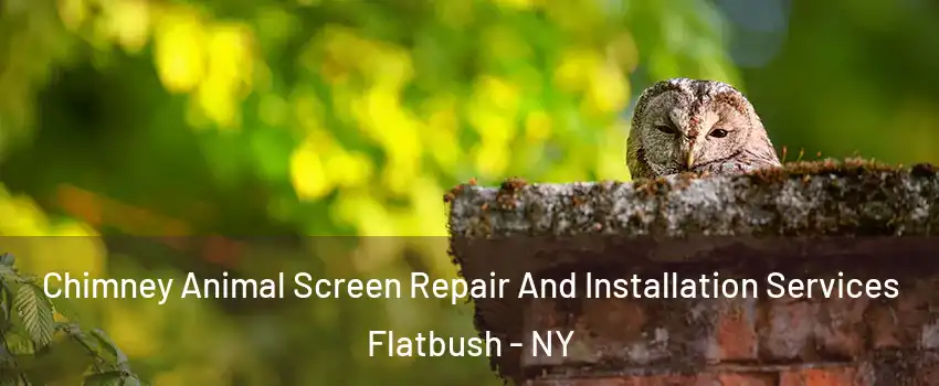 Chimney Animal Screen Repair And Installation Services Flatbush - NY