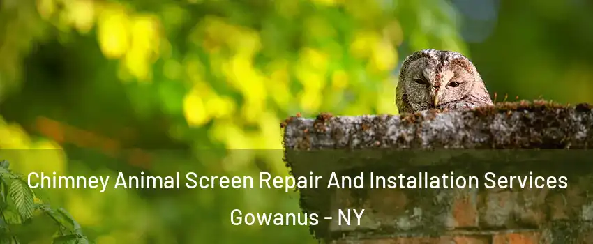 Chimney Animal Screen Repair And Installation Services Gowanus - NY