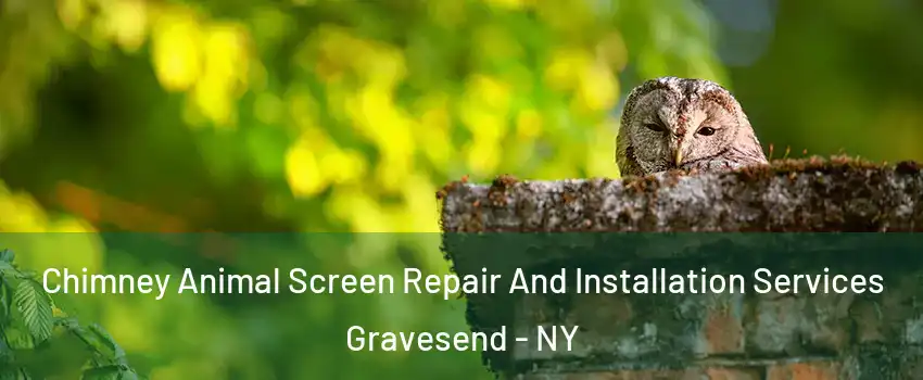 Chimney Animal Screen Repair And Installation Services Gravesend - NY