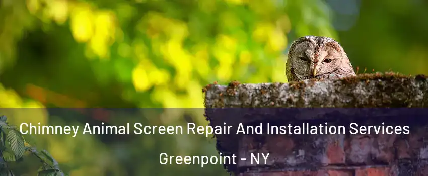 Chimney Animal Screen Repair And Installation Services Greenpoint - NY