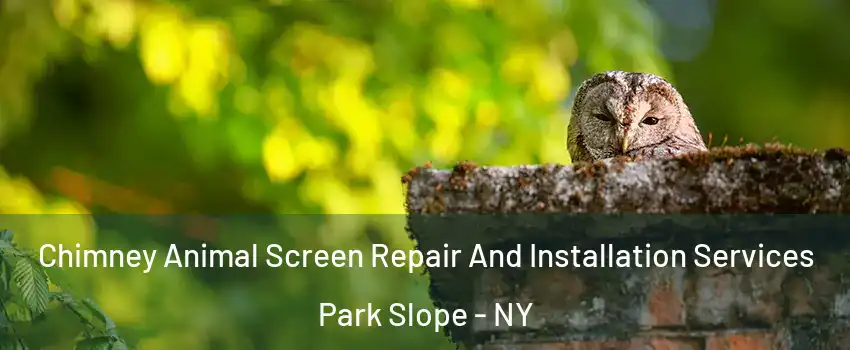 Chimney Animal Screen Repair And Installation Services Park Slope - NY