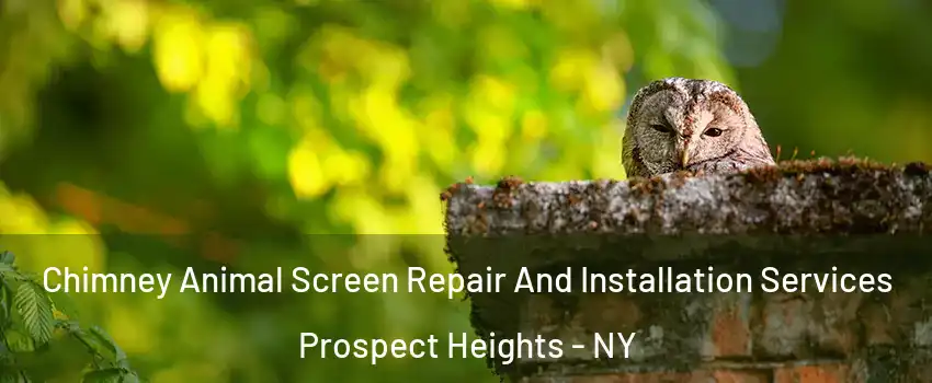 Chimney Animal Screen Repair And Installation Services Prospect Heights - NY