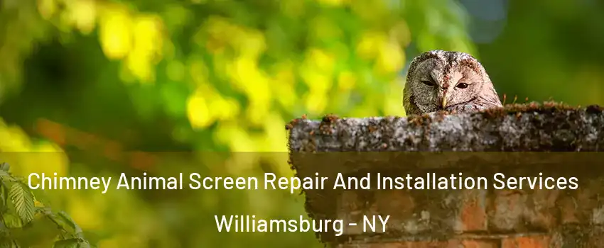 Chimney Animal Screen Repair And Installation Services Williamsburg - NY