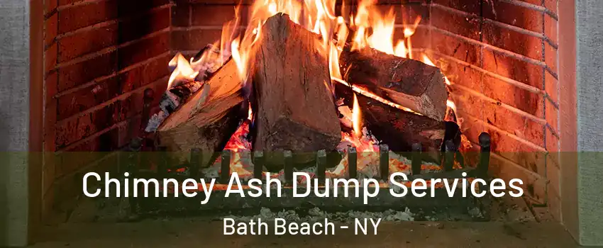 Chimney Ash Dump Services Bath Beach - NY