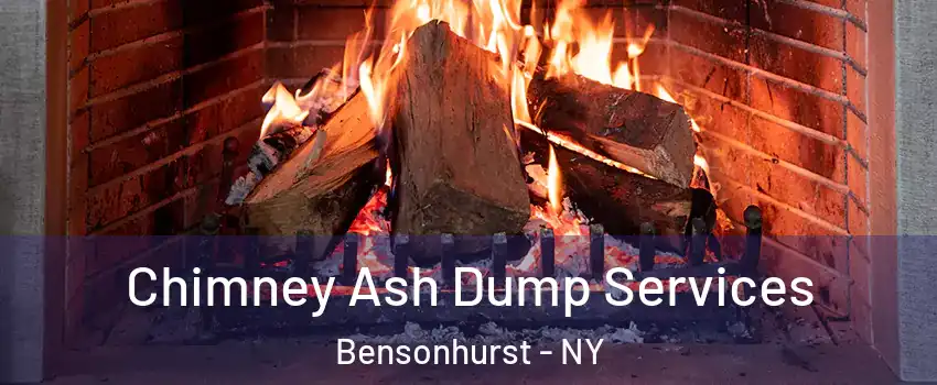 Chimney Ash Dump Services Bensonhurst - NY