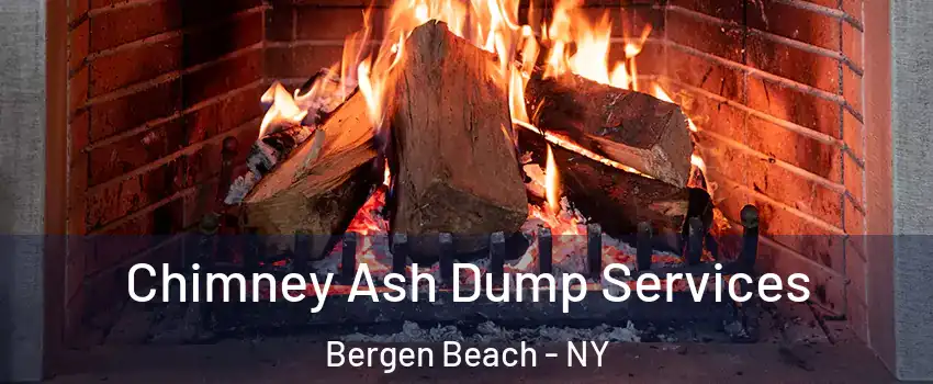 Chimney Ash Dump Services Bergen Beach - NY