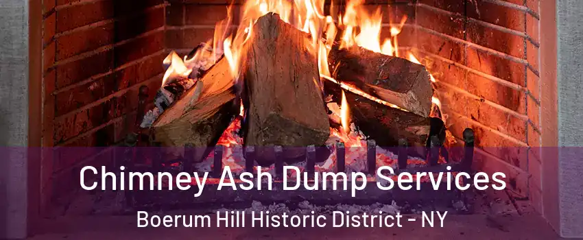 Chimney Ash Dump Services Boerum Hill Historic District - NY