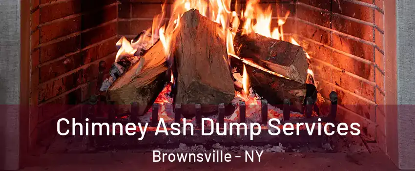 Chimney Ash Dump Services Brownsville - NY