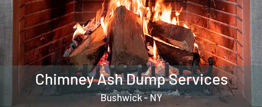 Chimney Ash Dump Services Bushwick - NY