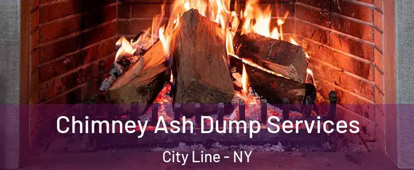 Chimney Ash Dump Services City Line - NY