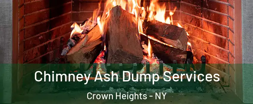 Chimney Ash Dump Services Crown Heights - NY