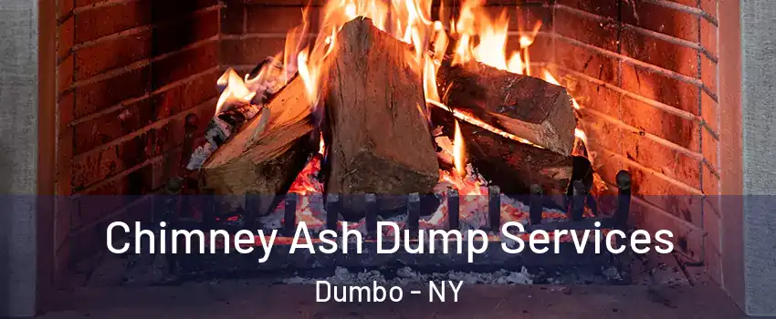 Chimney Ash Dump Services Dumbo - NY