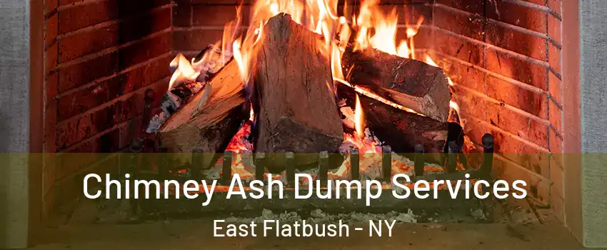 Chimney Ash Dump Services East Flatbush - NY