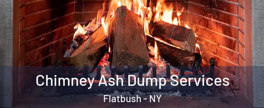 Chimney Ash Dump Services Flatbush - NY