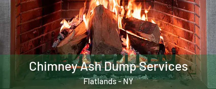 Chimney Ash Dump Services Flatlands - NY