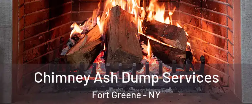 Chimney Ash Dump Services Fort Greene - NY