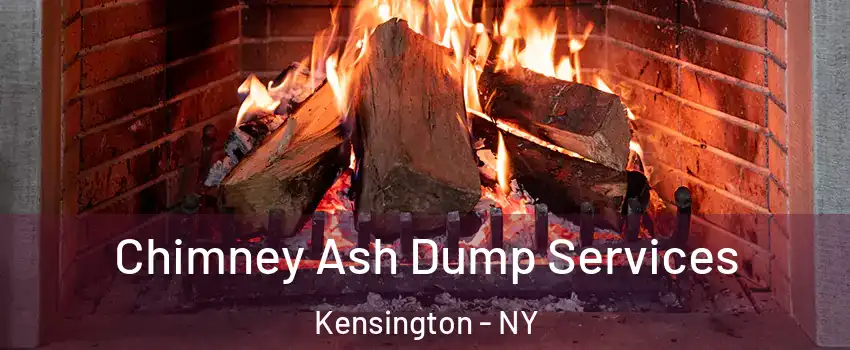 Chimney Ash Dump Services Kensington - NY