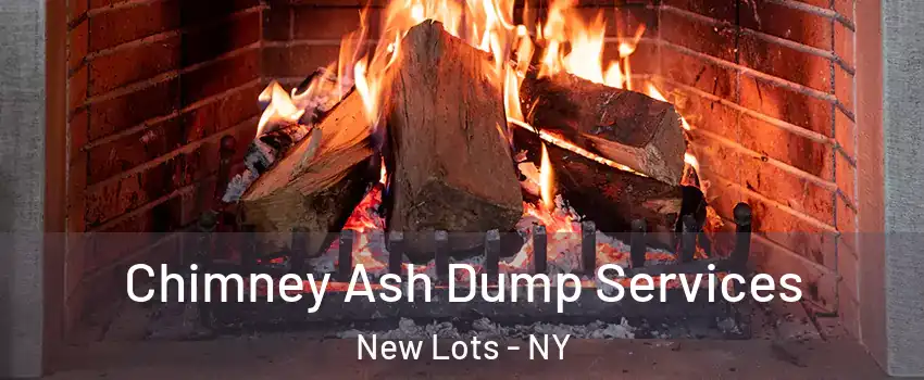 Chimney Ash Dump Services New Lots - NY