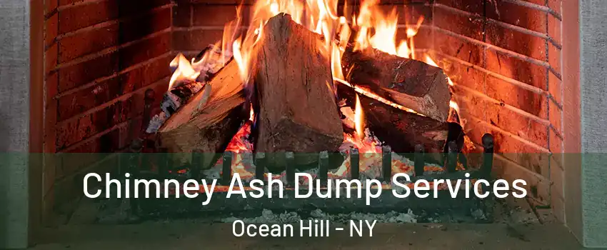 Chimney Ash Dump Services Ocean Hill - NY