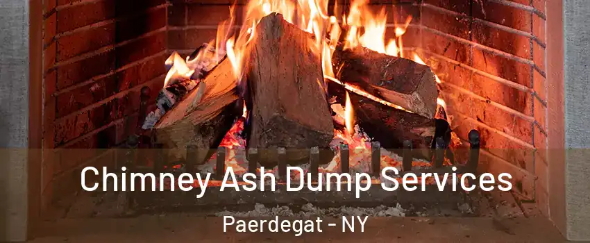 Chimney Ash Dump Services Paerdegat - NY