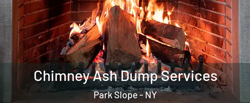 Chimney Ash Dump Services Park Slope - NY